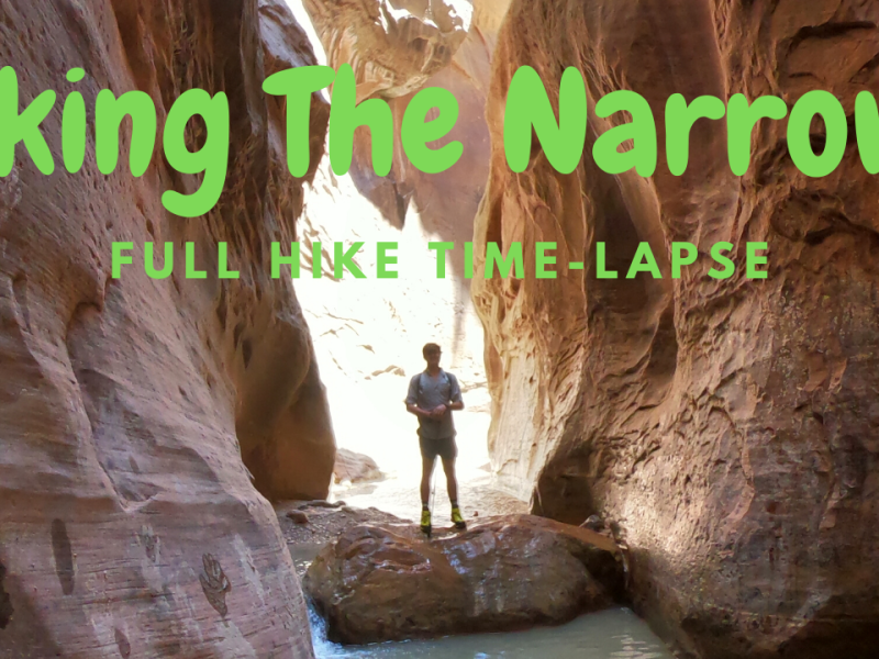 Hiking The Narrows (and the Riverside Walk Trail) in Zion National Park