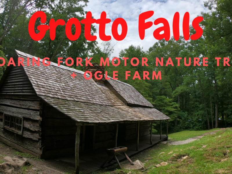 Hiking To Grotto Falls + Roaring Fork Motor Nature Trail + Ogle Farm (Great Smoky Mountains – Day 3)