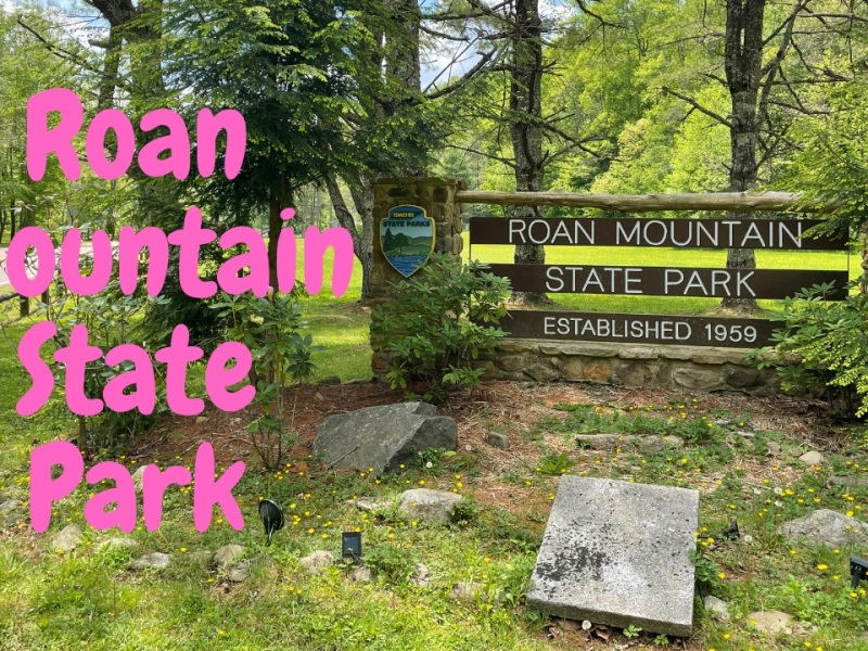 Roan Mountain State Park