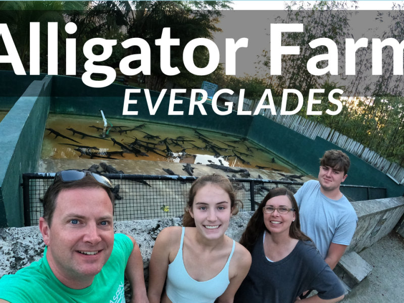 Everglades Alligator Farm + Ernest F Coe Visitors Center + Travel Day