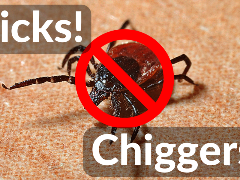 3 Steps To Keep Ticks And Chiggers Off You!