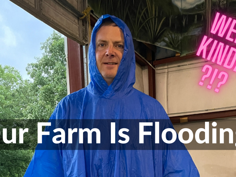 Our Farm Is Flooding – Water Management Needs (DeanoFarms Week 2)