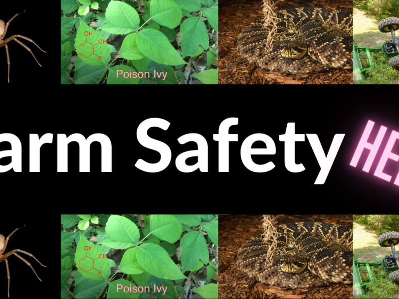 Farm Safety – Ticks, Poison Ivy, Tractor Tip Overs, Snakes, Spiders, Chainsaws (DeanoFarms: Week 5)