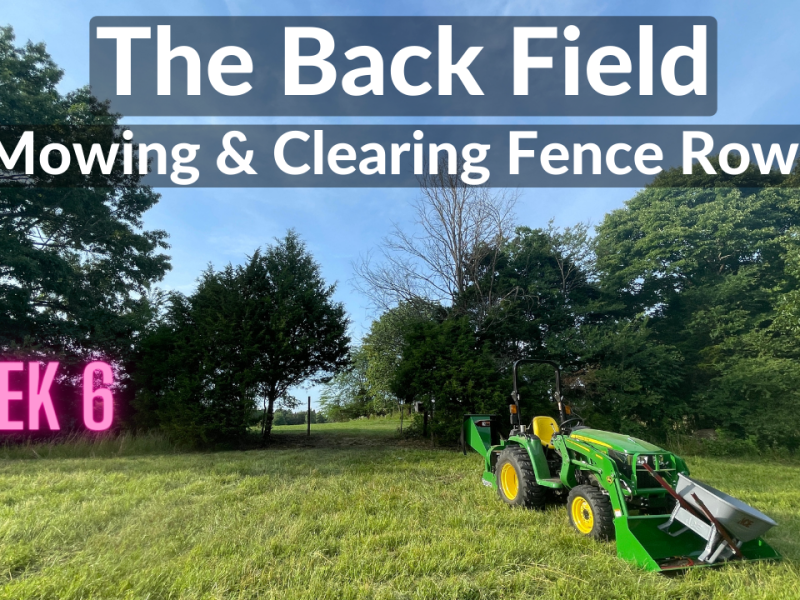 The Back Field – Mowing and Clearing Fence Rows (DeanoFarms: Week 6)