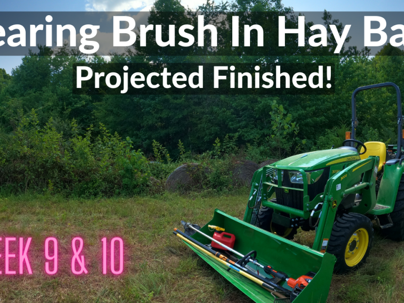 Clearing Brush In Hay Bales – Project Finished (DeanoFarms: Week 9 and 10)