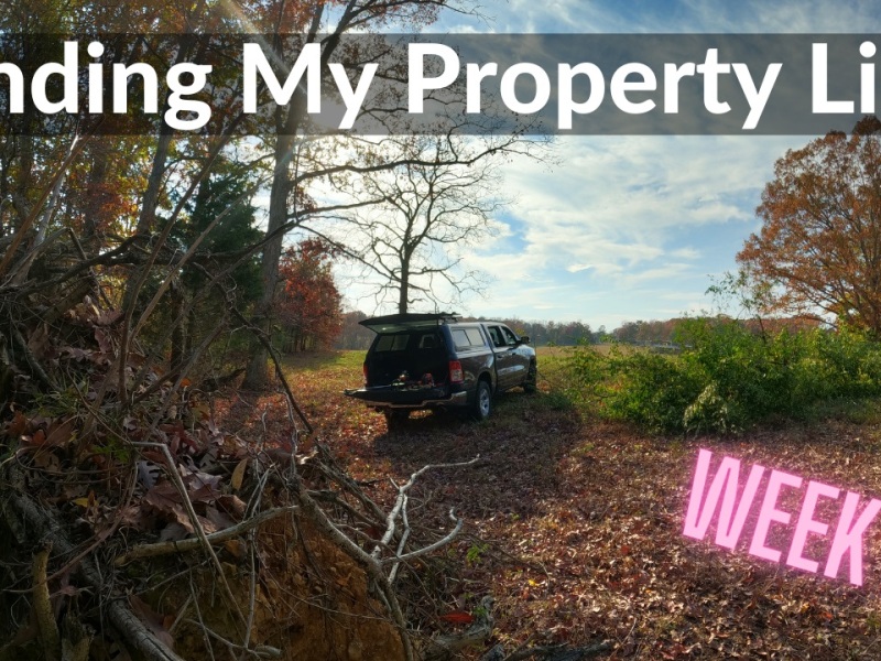 Finding My Property Line (DeanoFarms: Week 26)