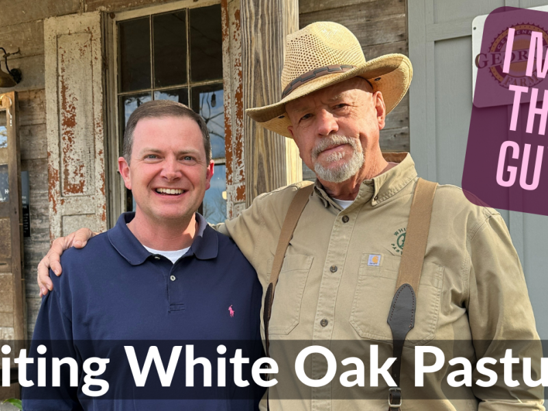 Visiting White Oak Pastures (I Met Will Harris!)