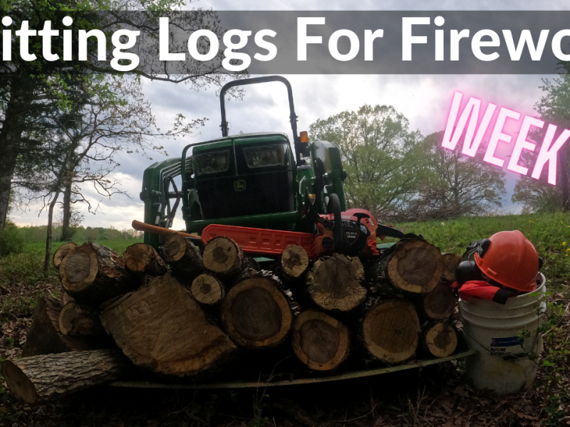 Splitting Logs For Firewood (DeanoFarms: Week 50)