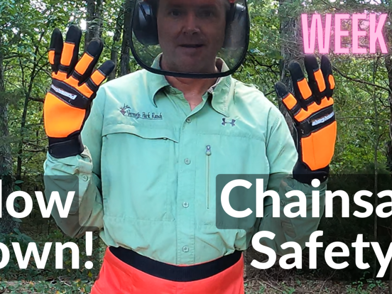 Slow Down Deano! Chainsaw Safety (DeanoFarms: Week 70)